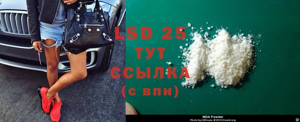 стаф Арсеньев