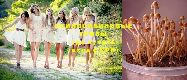 mix Аркадак