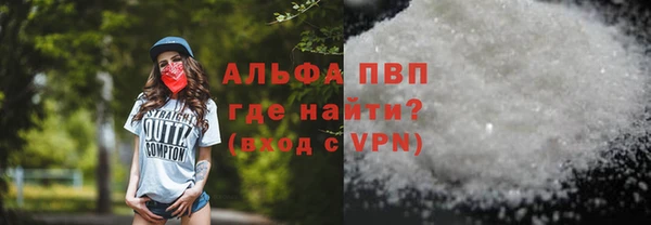 стаф Арсеньев