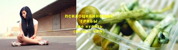 стаф Арсеньев