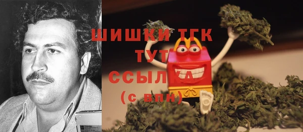 стаф Арсеньев