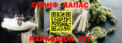 молекула духа Будённовск