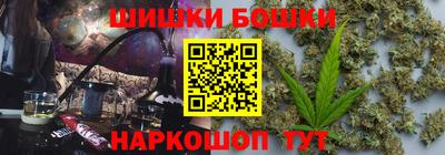 молекула духа Будённовск
